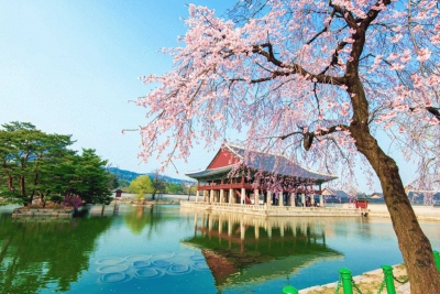 سفر به کره، سفر به سنت و مدرنیته