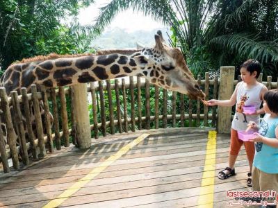 باغ وحش دیدنی سنگاپور
