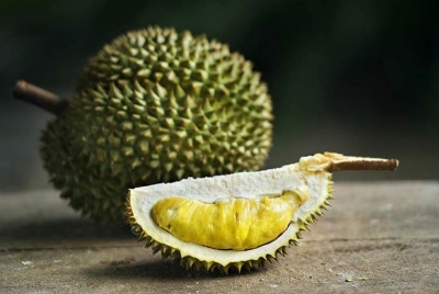 دورین
