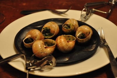 شای تاو کوای