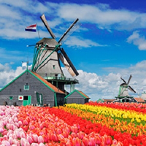تور هلند