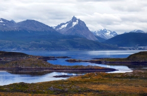 تیرا دل فیه گو