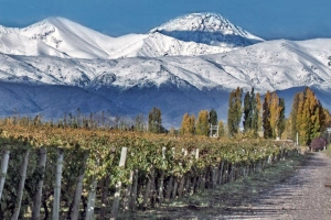 باغ های مندوزا